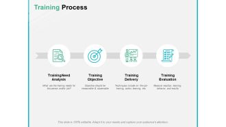 Training Process Ppt PowerPoint Presentation Professional Examples
