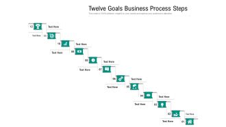 Twelve Goals Business Process Steps Ppt PowerPoint Presentation Gallery Elements PDF