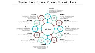 Twelve Steps Circular Process Flow With Icons Ppt PowerPoint Presentation Ideas Designs