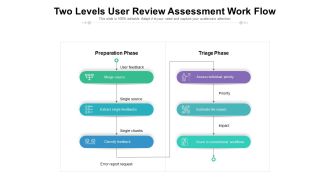 Two Levels User Review Assessment Work Flow Ppt PowerPoint Presentation Gallery Gridlines PDF