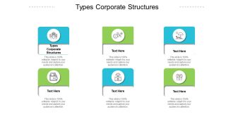 Types Corporate Structures Ppt PowerPoint Presentation Model Diagrams Cpb Pdf