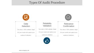 Types Of Audit Procedure Ppt PowerPoint Presentation Pictures