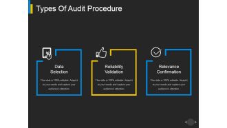 Types Of Audit Procedure Ppt PowerPoint Presentation Portfolio Designs