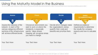 Using The Maturity Model In The Business Portrait PDF