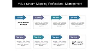 Value Stream Mapping Professional Management Ppt PowerPoint Presentation Layouts Professional