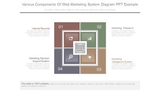 Various Components Of Web Marketing System Diagram Ppt Example