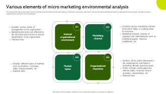 Various Elements Of Micro Marketing Environmental Analysis Template PDF