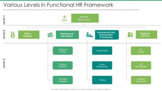 Various Levels In Functional HR Framework Guidelines PDF