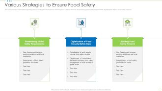 Various Strategies To Ensure Food Safety Food Security Excellence Ppt Icon Slide PDF