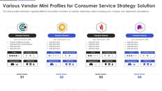 Various Vendor Mini Profiles For Consumer Service Strategy Solution Summary PDF