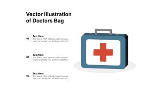 Vector Illustration Of Doctors Bag Ppt PowerPoint Presentation File Template PDF