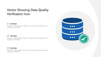 Vector Showing Data Quality Verification Icon Ppt PowerPoint Presentation File Background PDF