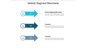 Vertical Segment Merchants Ppt PowerPoint Presentation Outline Sample Cpb Pdf