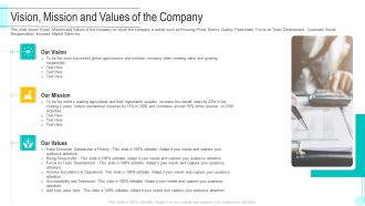 Vision Mission And Values Of The Company Themes PDF