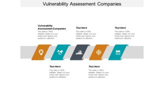 Vulnerability Assessment Companies Ppt PowerPoint Presentation Outline Graphics Design Cpb