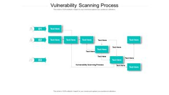 Vulnerability Scanning Process Ppt PowerPoint Presentation Icon Gridlines Cpb Pdf