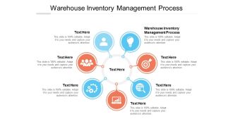 Warehouse Inventory Management Process Ppt PowerPoint Presentation Portfolio Example Topics Cpb
