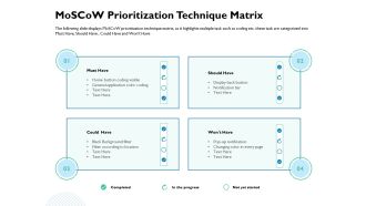 Waterfall Project Prioritization Methodology Moscow Prioritization Technique Matrix Mockup PDF