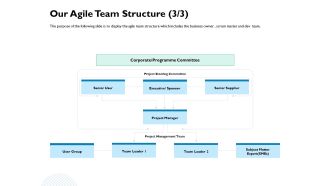 Waterfall Project Prioritization Methodology Our Agile Team Structure Executive Ppt Slides Portrait PDF