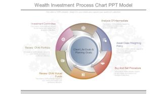 Wealth Investment Process Chart Ppt Model