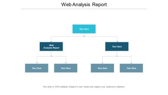 Web Analysis Report Ppt PowerPoint Presentation Styles Skills Cpb