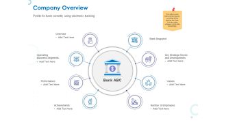 Web Banking For Financial Transactions Company Overview Ppt Gallery Rules PDF