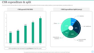Web Interface Development Services Company Summary CSR Expenditure And Split Topics PDF