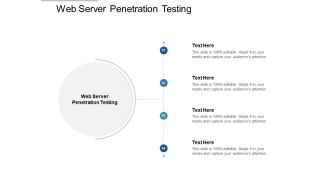 Web Server Penetration Testing Ppt PowerPoint Presentation File Graphic Images Cpb