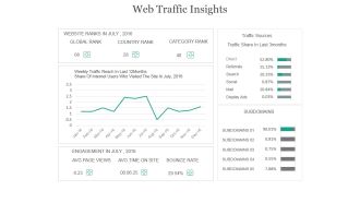 Web Traffic Insights Ppt PowerPoint Presentation Visual Aids