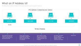 Website Designing And Development Service What An IP Address Is Download PDF
