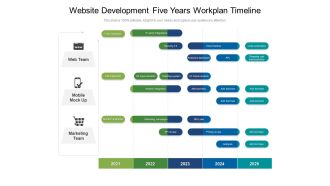 Website Development Five Years Workplan Timeline Structure