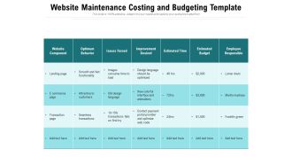 Website Maintenance Costing And Budgeting Template Ppt PowerPoint Presentation Icon Example PDF