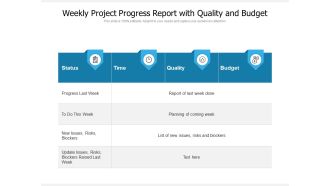 Weekly Project Progress Report With Quality And Budget Ppt PowerPoint Presentation File Samples PDF