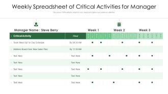 Weekly Spreadsheet Of Critical Activities For Manager Ppt PowerPoint Presentation File Show PDF