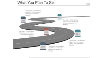 What You Plan To Sell Ppt PowerPoint Presentation Example