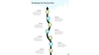 Whitewash Services Proposal Roadmap For Process Flow One Pager Sample Example Document