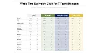 Whole Time Equivalent Chart For IT Teams Members Ppt PowerPoint Presentation File Grid PDF