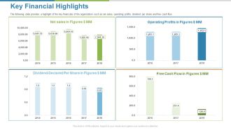 Work Execution Liability Key Financial Highlights Ppt Ideas Template PDF
