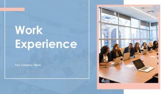Work Experience Ppt PowerPoint Presentation Complete With Slides