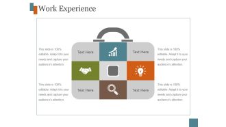 Work Experience Template 9 Ppt PowerPoint Presentation Show