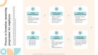 Workforce Growth And Improvement Process To Formulate Mentoring Programme For Employees Demonstration PDF