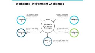 Workplace Environment Challenges Employee Value Proposition Ppt PowerPoint Presentation Styles