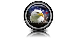 American Eagle01 PowerPoint Icon Cc