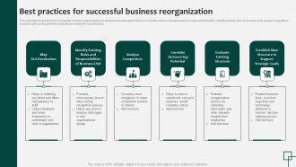 Best Practices For Successful Business Reorganization Themes Pdf