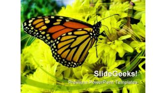 Butterfly Animals PowerPoint Backgrounds And Templates 0111