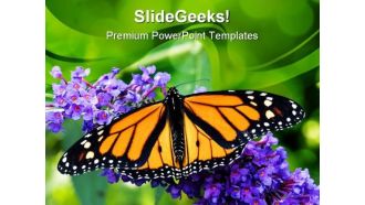Butterfly Animals PowerPoint Template 1110
