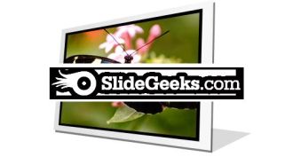 Butterfly PPT Icon