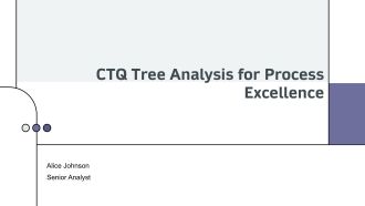 Ctq Tree Analysis For Process Excellence PPT Example AT