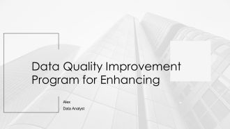 Data Quality Improvement Program For Enhancing PPT Template AT