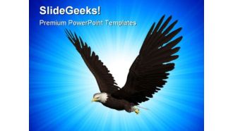 Eagle Flying Animals PowerPoint Themes And PowerPoint Slides 0211